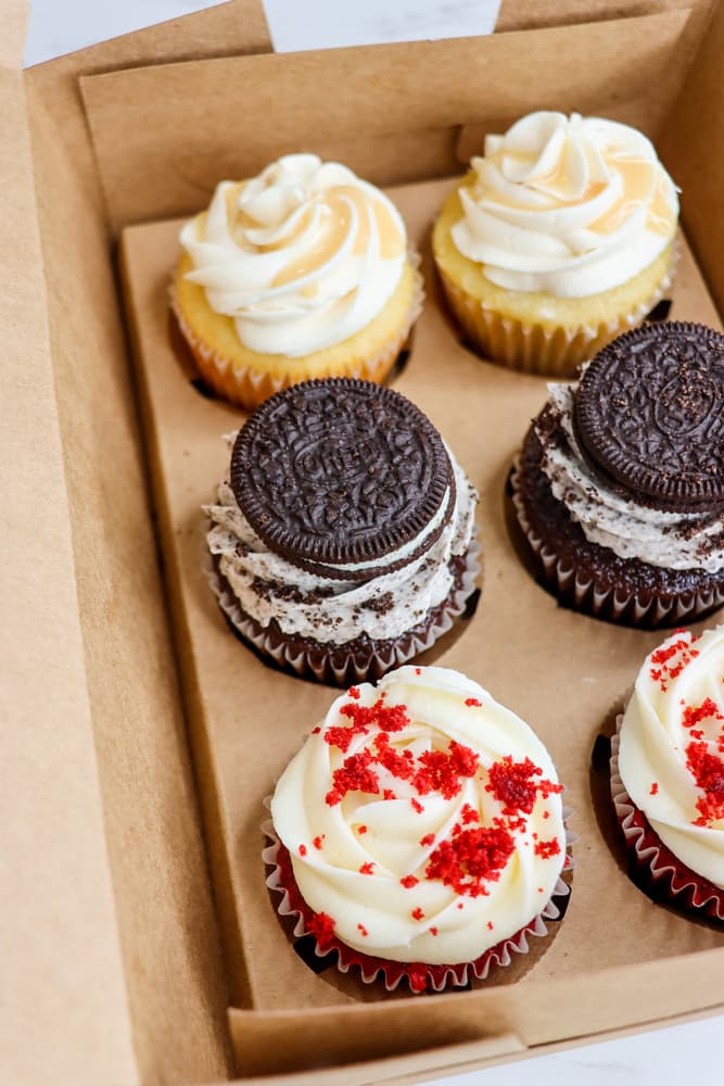 Variety Package Cupcake