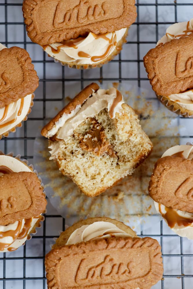 Cookie Butter Cupcake Zoomed In